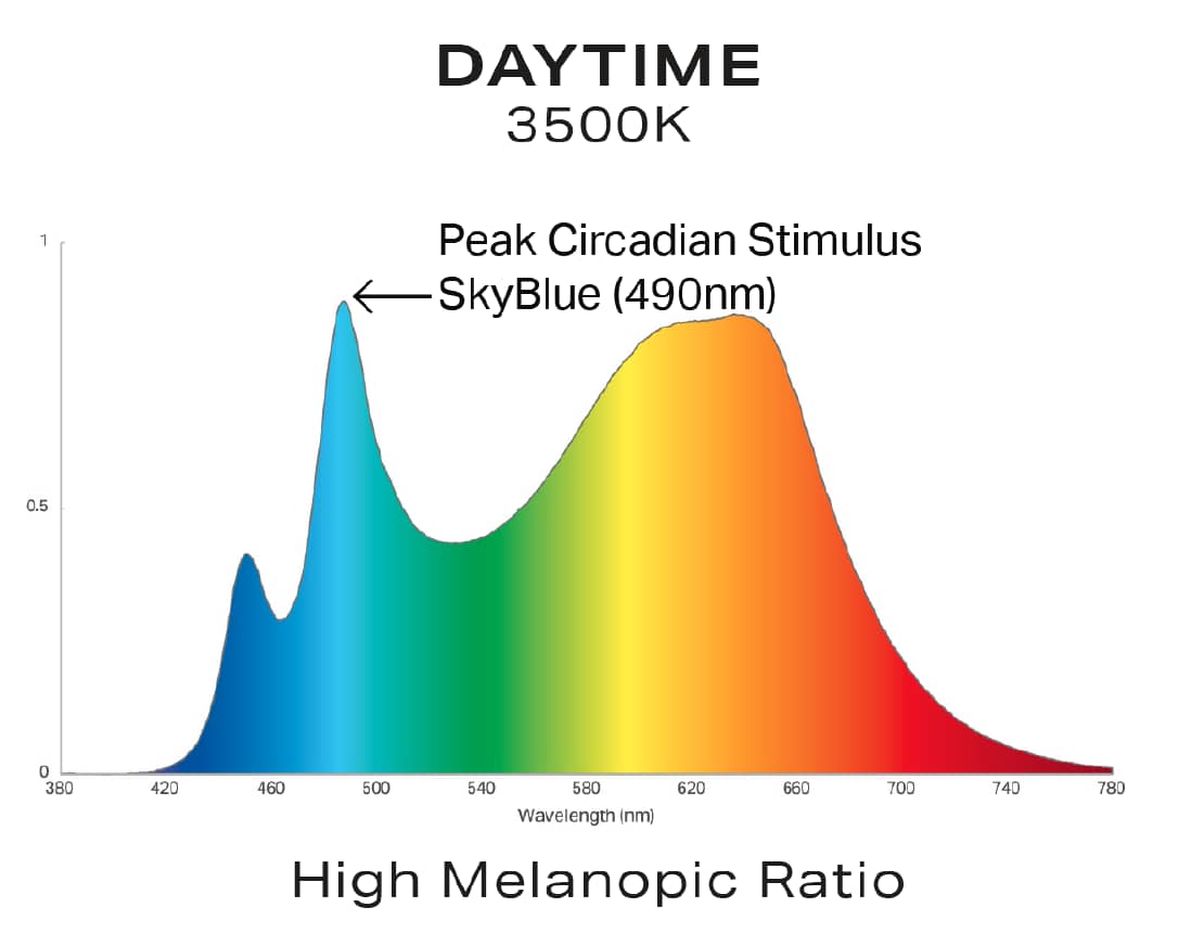 BIOS circadian light daytime chart.